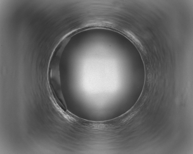 X0000082980940200702152354