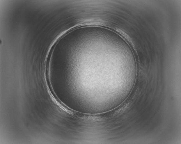 X0000082980941200702152354