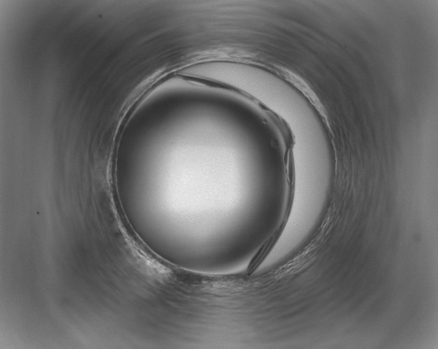 X0000082980946200702152354