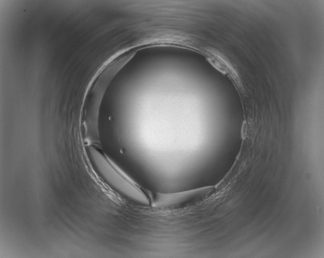 X0000082980948200702152354
