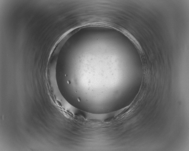 X0000082980956200702152354