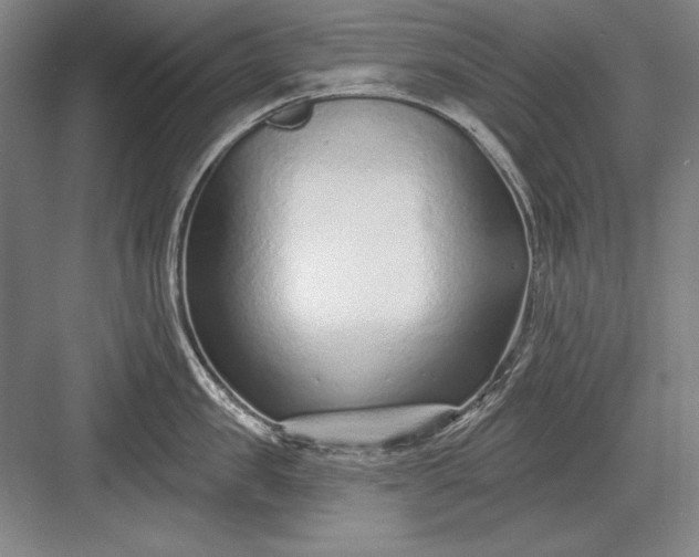 X0000082980957200702152354