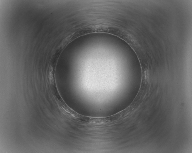 X0000082980963200702152353