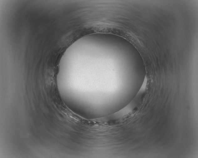 X0000082980964200702152353