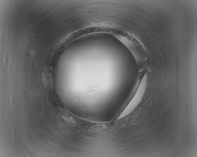 X0000082980968200702152353