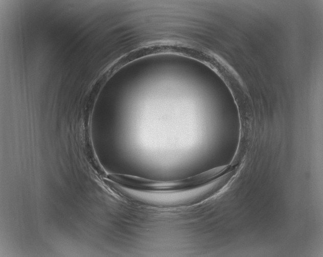 X0000082980969200702152353
