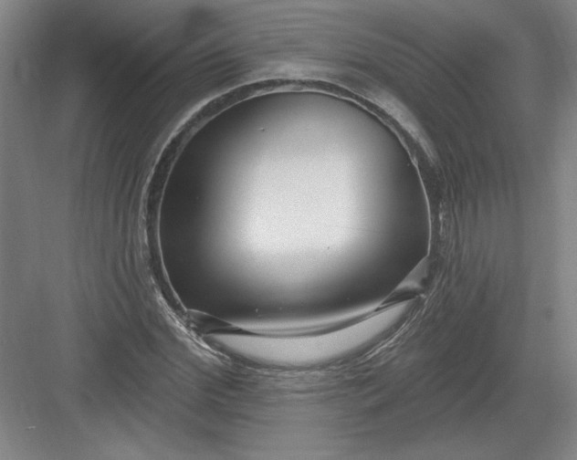X0000082980972200702152353