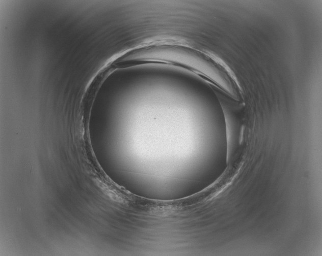 X0000082980973200702152353