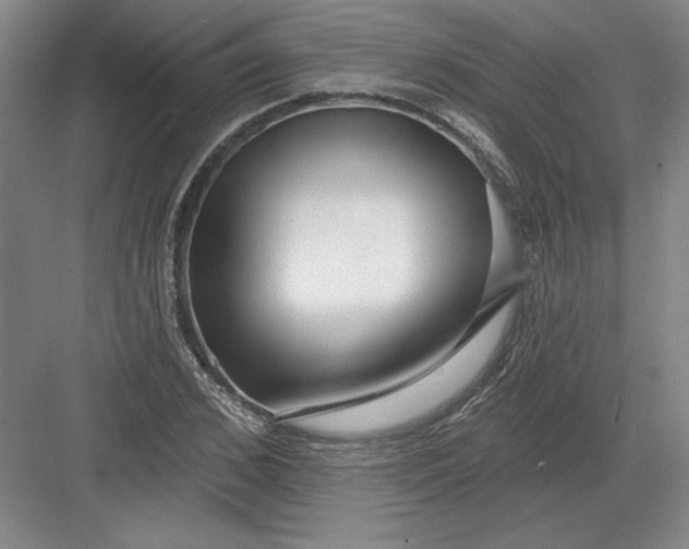 X0000082980976200702152353