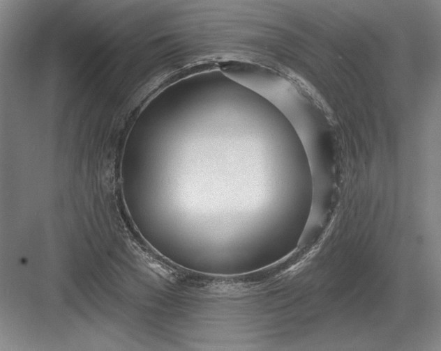 X0000082980977200702152353