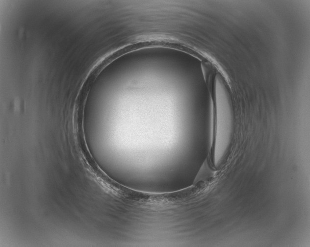 X0000082980983200702152353
