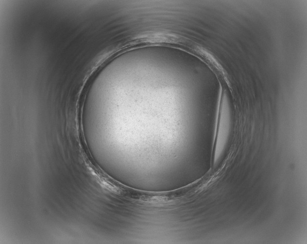 X0000082980986200702152353