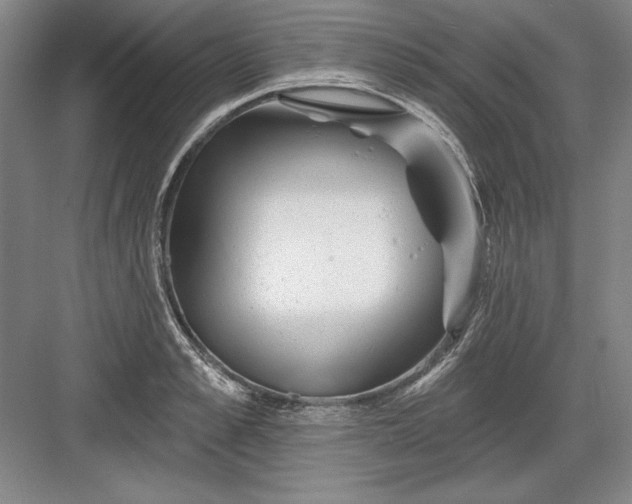 X0000082980989200702152353