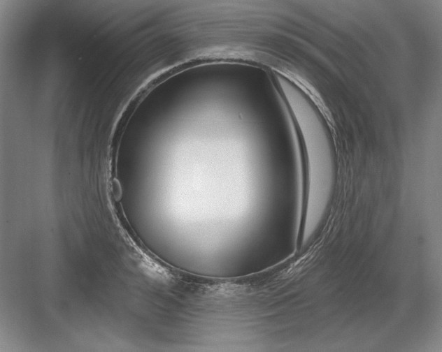 X0000082980992200702152353
