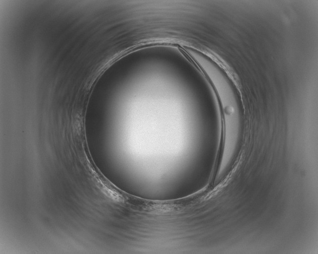 X0000082980993200702152353