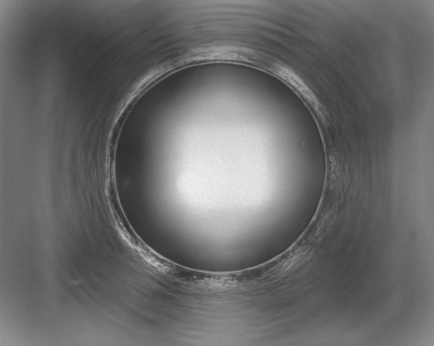 X0000082980994200702152353