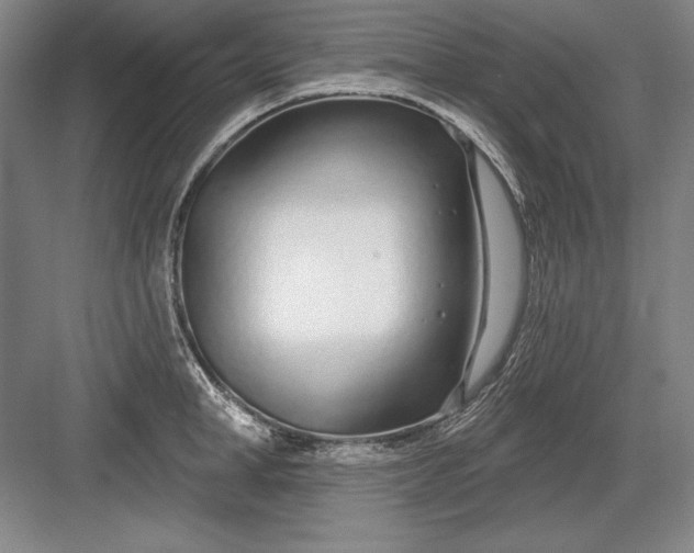 X0000082980998200702152353
