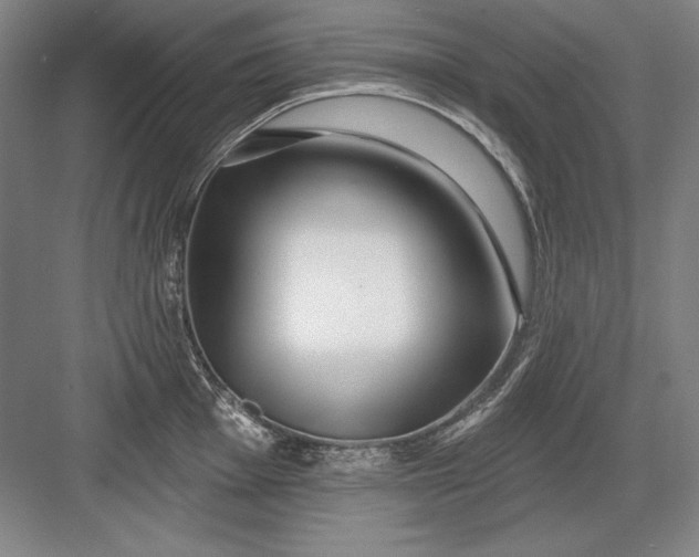 X0000082981001200702152353