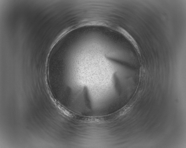 X0000082981002200702152353