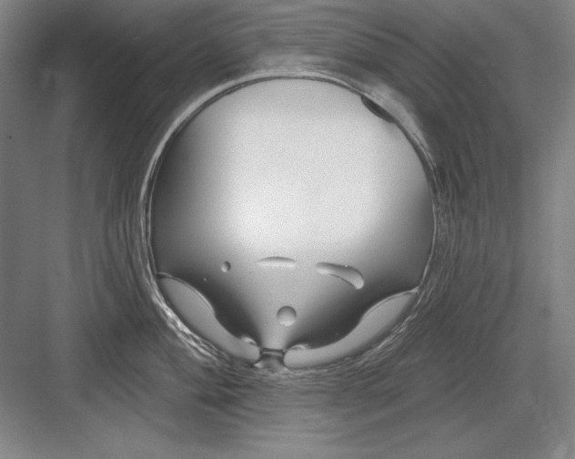 X0000082981004200702152353