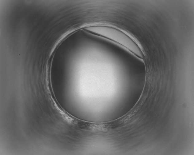 X0000082981006200702152353