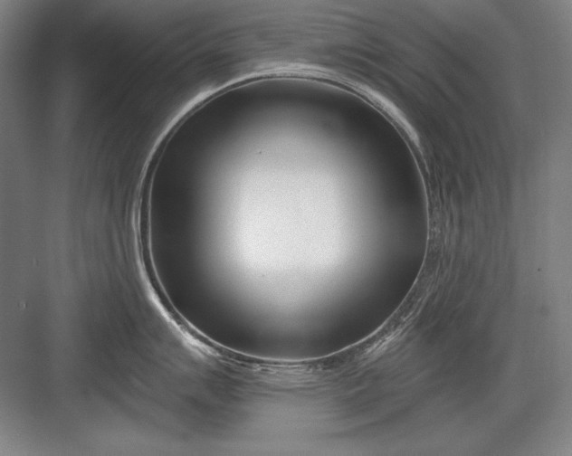 X0000082981007200702152352