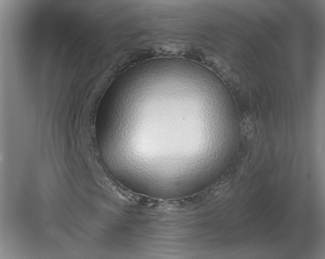 X0000082981009200702152352
