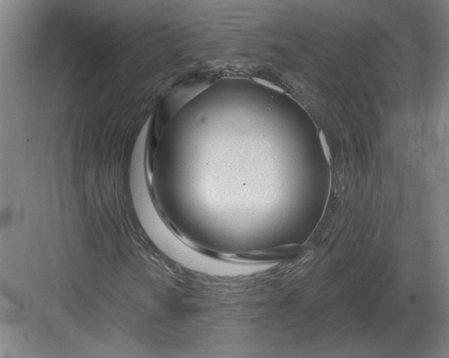 X0000082981010200702152352
