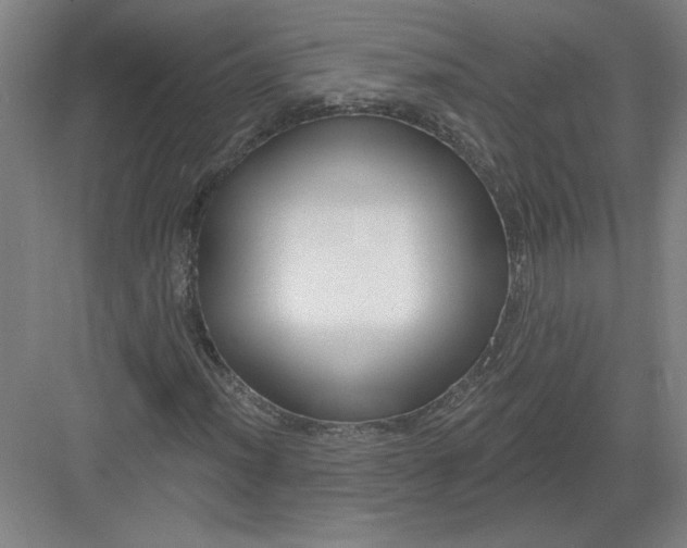 X0000082981012200702152352