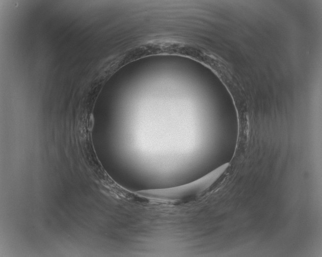 X0000082981014200702152352