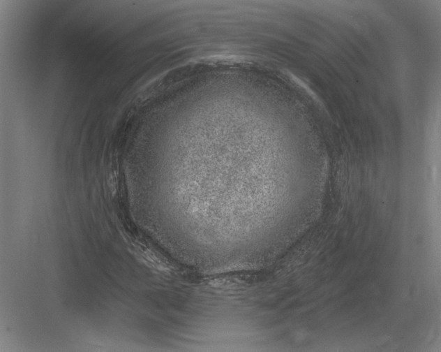 X0000082981015200702152352