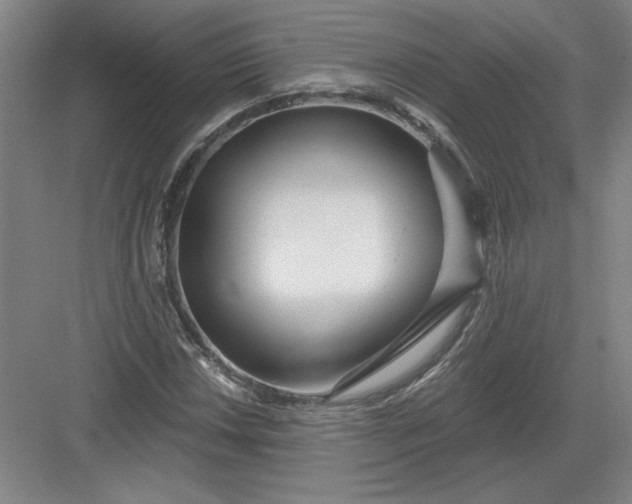 X0000082981018200702152352