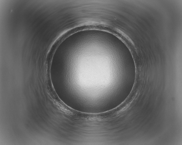 X0000082981021200702152352
