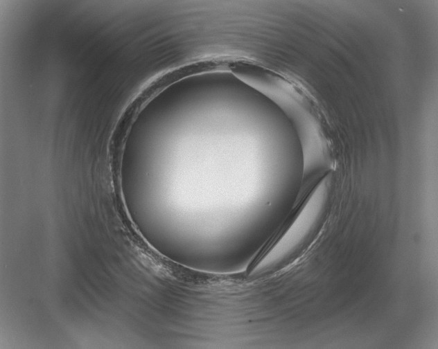 X0000082981022200702152352