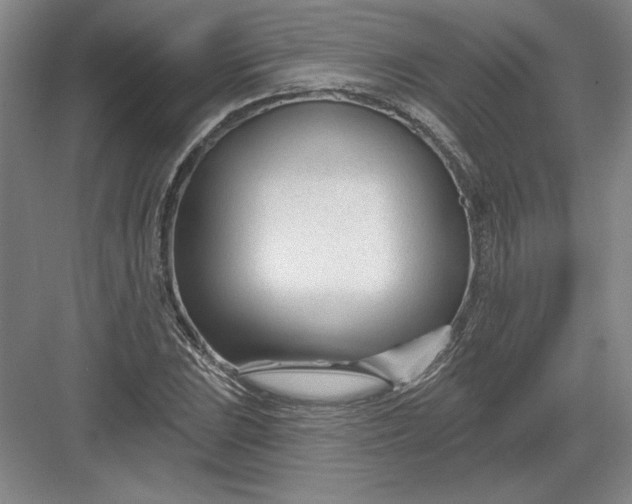 X0000082981023200702152352