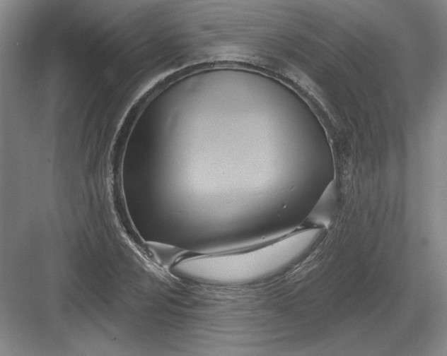 X0000082981024200702152352