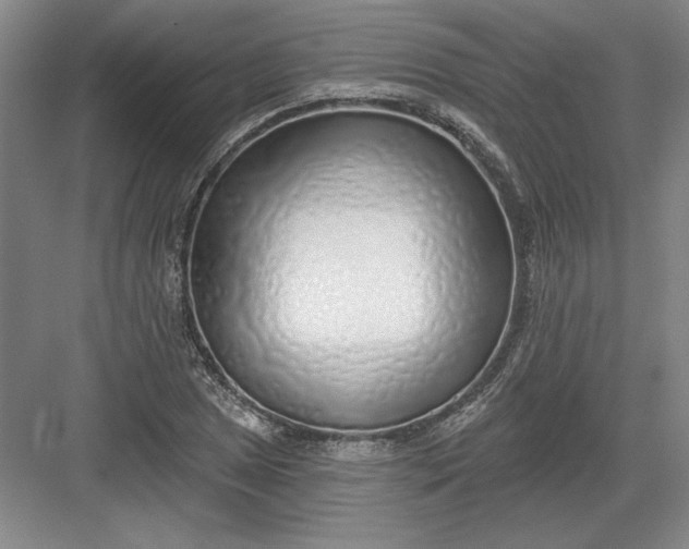 X0000082981025200702152352