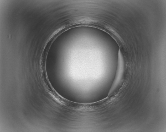 X0000082981026200702152352
