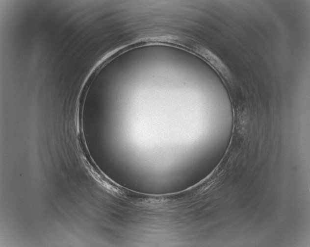 X0000082981036200702152352