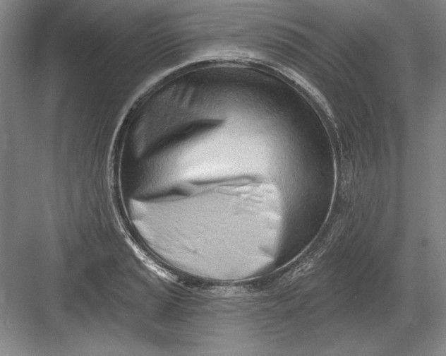 X0000082981037200702152352