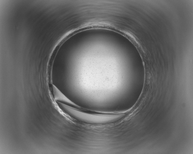 X0000082981038200702152352