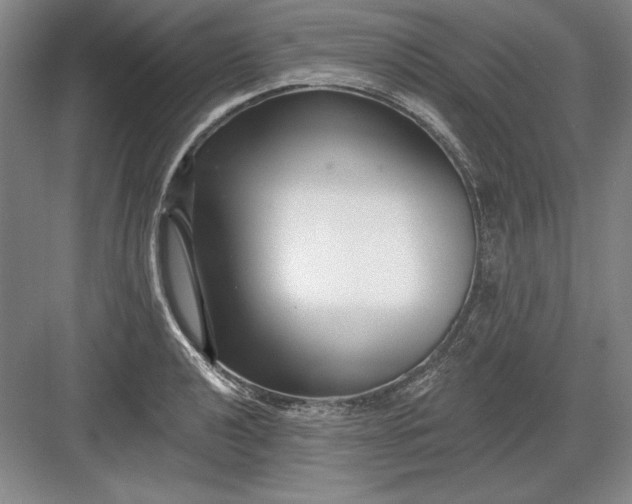 X0000082981040200702152352
