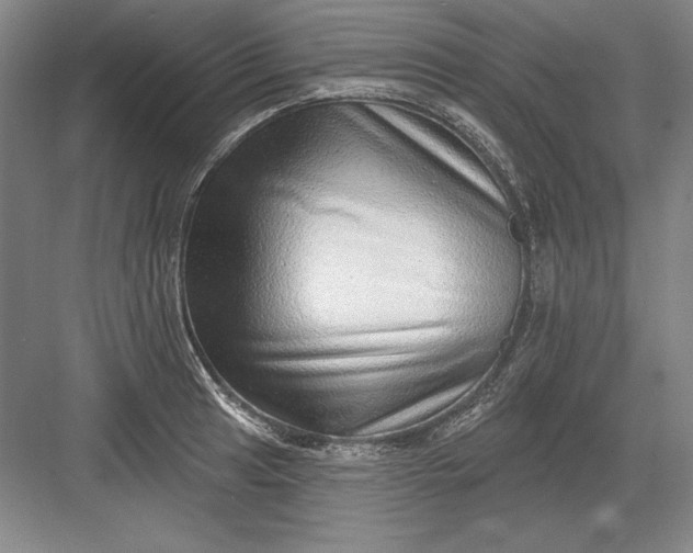 X0000082981041200702152352