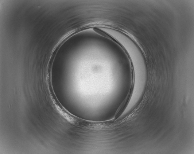 X0000082981042200702152352