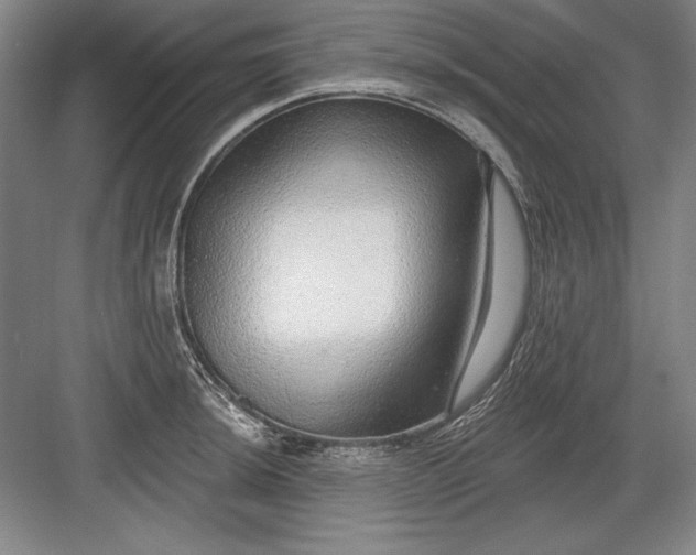 X0000082981044200702152352