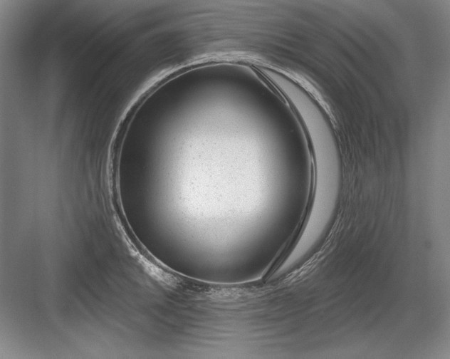 X0000082981046200702152352