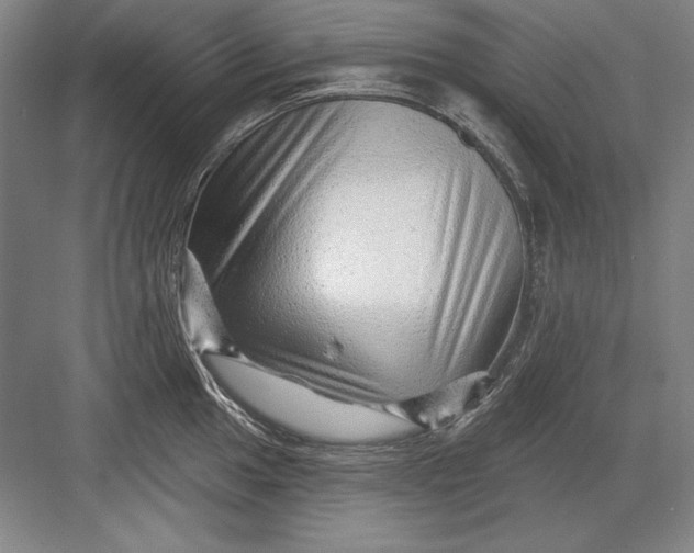 X0000082981049200702152352