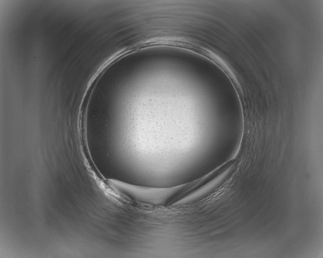 X0000082981050200702152352