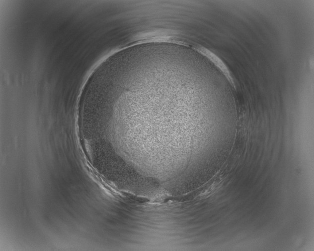 X0000082981051200702152352