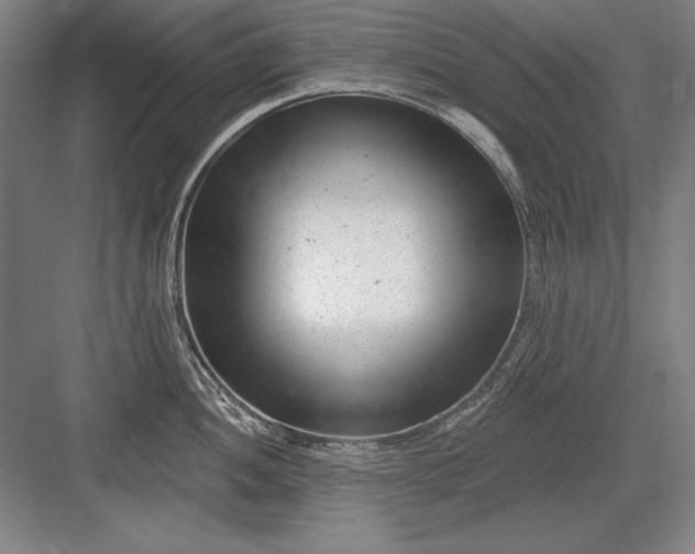 X0000082981052200702152352